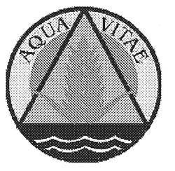 Свідоцтво торговельну марку № 65341 (заявка m200505586): aqua vitae