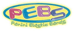 Свідоцтво торговельну марку № 145931 (заявка m201015066): pebs panini elastic bands; peb5