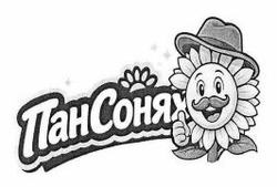 Заявка на торговельну марку № m202607195: пан сонях; пансонях