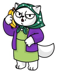 Заявка на торговельну марку № m202515417