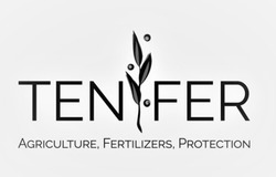Свідоцтво торговельну марку № 344987 (заявка m202114398): agriculture, fertilizers, protection; ten fer; tenfer