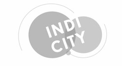Свідоцтво торговельну марку № 308982 (заявка m201924620): indi city