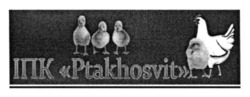 Свідоцтво торговельну марку № 351979 (заявка m202300515): іпк ptakhosvit