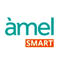 Заявка на торговельну марку № m202015833: amel smart