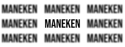 Заявка на торговельну марку № m202317024: maneken