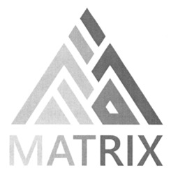 Заявка на торговельну марку № m202305882: matrix