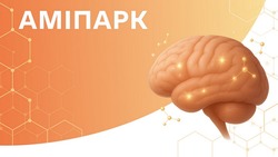 Заявка на торговельну марку № m202514835: аміпарк