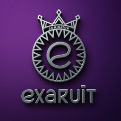 Заявка на торговельну марку № m202605352: exaruit; dominator; е
