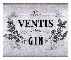 Заявка на торговельну марку № m202108065: ventis gin