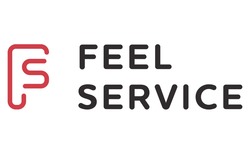Свідоцтво торговельну марку № 309795 (заявка m201931634): feel service; fs