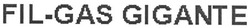 Свідоцтво торговельну марку № 94903 (заявка m200619855): fil-gas gigante