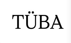 Заявка на торговельну марку № m202507463: tuba