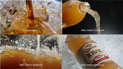 Заявка на торговельну марку № m202509603: білий; бадьорить; квас живого бродіння; опілля; opillia