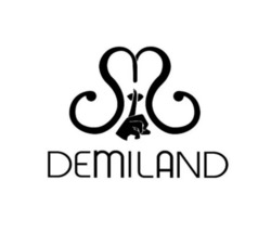 Заявка на торговельну марку № m202522249: demiland