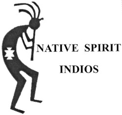 Заявка на торговельну марку № m200913010: native spirit indios