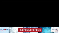 Заявка на торговельну марку № m202418817: підтримка суглобів; бонні хондро