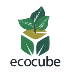 Свідоцтво торговельну марку № 294725 (заявка m201819776): ecocube