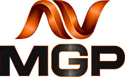 Заявка на торговельну марку № m202608822: av; mgp
