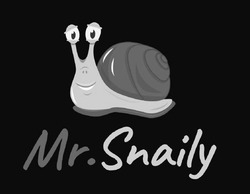 Заявка на торговельну марку № m202019056: mr.snaily