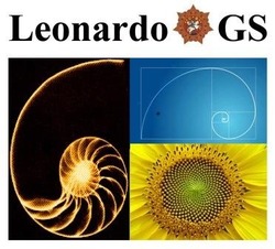 Заявка на торговельну марку № m201611022: leonardo gs