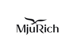 Заявка на торговельну марку № m202507947: mju rich; mjurich