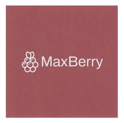 Заявка на торговельну марку № m202522631: мах; max berry; maxberry