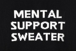 Заявка на торговельну марку № m202319835: mental support sweater