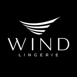 Заявка на торговельну марку № m202317515: wind lingerie