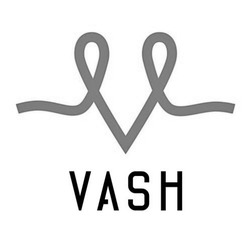 Свідоцтво торговельну марку № 341579 (заявка m202131199): vash