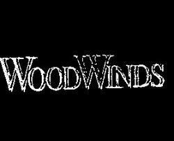 Заявка на торговельну марку № 94052029: woodwinds wood winds