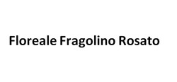 Заявка на торговельну марку № m202608661: floreale fragolino rosato