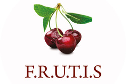 Заявка на торговельну марку № m202410969: frutis; f.r.u.t.i.s