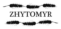 Заявка на торговельну марку № m201317845: zhytomyr