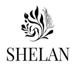 Заявка на торговельну марку № m202507612: shelan