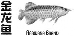 Свідоцтво торговельну марку № 36461 (заявка 2001128068): arawana brand