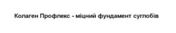 Заявка на торговельну марку № m202419034: колаген профлекс - міцний фундамент суглобів