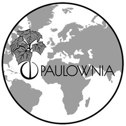 Свідоцтво торговельну марку № 299198 (заявка m202020901): paulownia