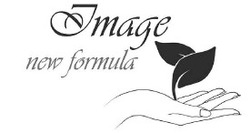 Свідоцтво торговельну марку № 254451 (заявка m201708934): image new formula