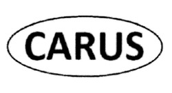 Свідоцтво торговельну марку № 314938 (заявка m201933773): carus