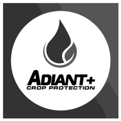 Заявка на торговельну марку № m202512187: adiant+ crop protection