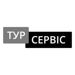 Заявка на торговельну марку № m202026532: тур сервіс