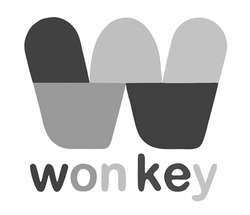 Заявка на торговельну марку № m202214808: won key; wonkey
