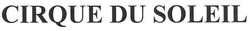 Заявка на торговельну марку № m201020584: cirque du soleil