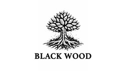 Заявка на торговельну марку № m202602646: black wood