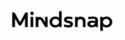 Заявка на торговельну марку № m202605670: mindsnap