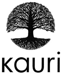 Свідоцтво торговельну марку № 300340 (заявка m201917413): kauri