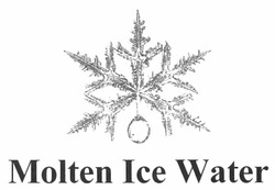 Заявка на торговельну марку № m201206905: molten ice water