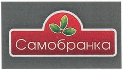 Заявка на торговельну марку № m201101341: самобранка
