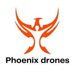 Заявка на торговельну марку № m202322886: phoenix drones