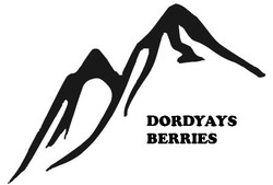 Заявка на торговельну марку № m201933454: dordyays berries